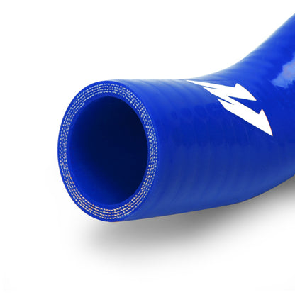 Blue kit close up