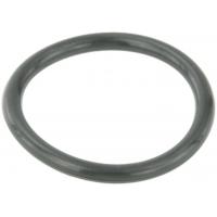 Febest Cooling system o-ring - Part RINGWH-B5