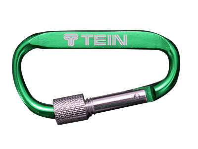Green TEIN carabiner keychain (TN016-020).