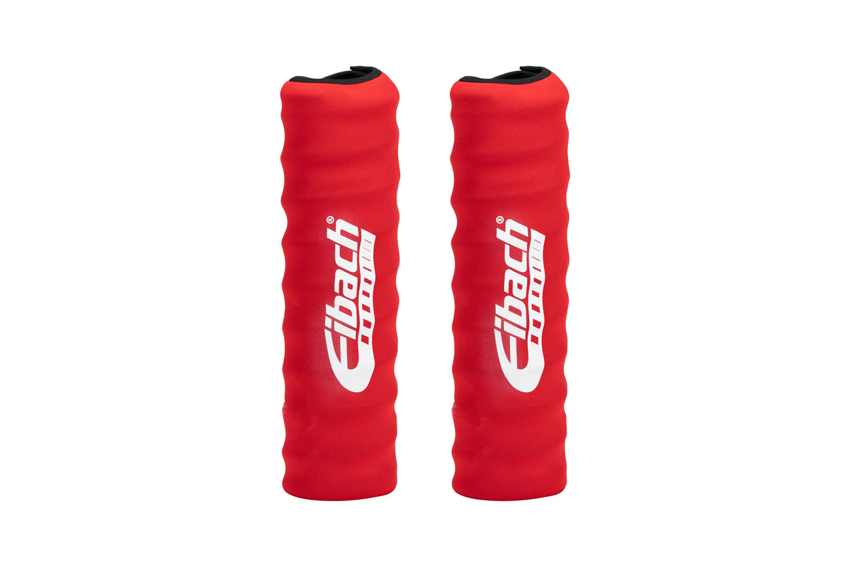 Eibach ESB ESB10.250